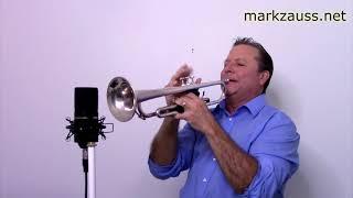 Mark Zauss recording Project