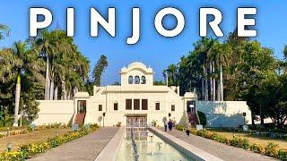 Pinjore, Haryana | Pinjore Garden | Valley of Shivalik Hills | must visit place near Chandigarh