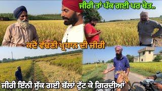 ਗਿਰੀ ਹੋਈ ਜੀਰੀ ਮੁੜ ਤੋਂ ਉੱਗਣ ਲੱਗ ਪਈ//Ajje tkk nhi chli combine//@kalamahalvlogs