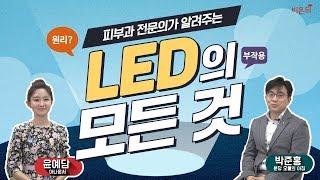 피부과 전문의가 알려주는 LED 총정리! (LED마스크 원리, 효과, 부작용, 쓰면 안 되는 사람)