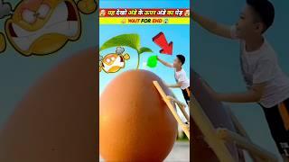 Ye Anda Ka Per Hai Talented Kid In Egg Peer#rabbit #shorts #viralvideo #video