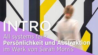 INTRO All systems fail? Persönlichkeit und Abstraktion im Werk von Sarah Morris