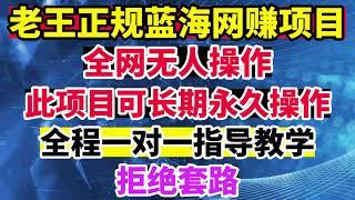 永久长期稳定网络项目！全网无人操作！独家网络赚钱技术全部无保留教学！不需要任何技术！适合任何人操作！老王正规蓝海网赚项目！一个真正可以实现24小时自动赚钱的项目！