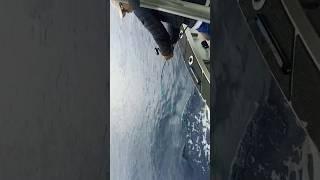 How to process fish on n this monster Ocean ️ #satisfying #shorts #shortvideo #funny #fyp #travel