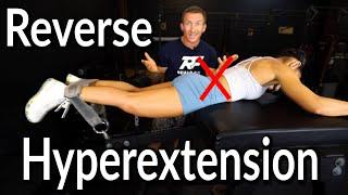 Reverse Hyperextension for Low Back Pain? | Sciatica Relief