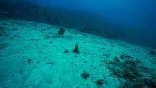 dive in Avlaki, Halkidiki, Greece