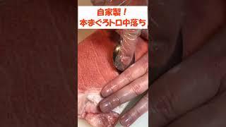 自宅で本まぐろトロの中落ち作ってみた！#shorts #札幌グルメ