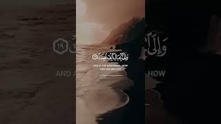 كنوز إيمانيه