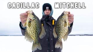 Michigan Ice Fishing On Lake Cadillac & Mitchell | 2025 Walleye, Pike, & Crappie