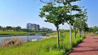 파주시 야당역 주변과 소리천 따라 걷는 운정호수공원 - Yadang Station in Paju City and Unjeong Lake Park