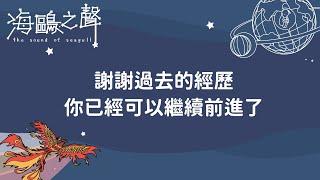 謝謝過去的經歷，你已經可以繼續前進了｜ 3選1  【海鷗之聲】塔羅解讀 #108