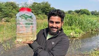 Tushar Bhai Ka Pura Farm Hamne Le Liya #fishfarm