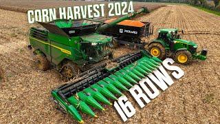  16 RANGS JOHN DEERE X9 1100 MOISSON du MAÏS 2024 (On plante le camion je le tire au TIGUAN ‍️)