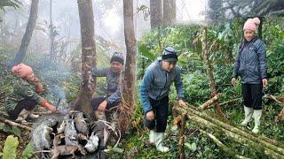 Hành Trình Sống Trong Rừng Sâu 3 Ngày 2 Đêm: Đánh Và Thăm Bẫy Chuột, Dựng Lán Và Đêm Đông Lạnh Giá