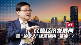 专访连平：民营经济发展局是民企的“娘家人” 还是强势“婆婆”