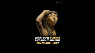What Kind of Hair Did Ancient Egyptians Have?
