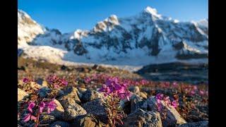 High altitude trekking in Pakistan - the Hispar La traverse Part IV - crossing Hispar La