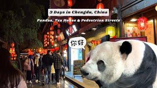 CHENGDU in 3 Days [Panda Research Base, KuanZhai Alley, People's Park, JinLi Pedestrian Street] ️