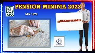 PENSION MINIMA GARANTIZADA 2023