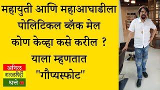 महायुती आणि महाआघाडीला पोलिटिकल ब्लॅक मेल कोण केव्हा कसे करील ? याला म्हणतात "गौप्यस्फोट"