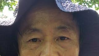 세무연구소 텍스살롱 라이브 스트림이 시작됩니다