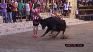 INTRO DVD BOUS ADRIÁN HERNÁNDEZ MARÍ 2016 2º PARTE