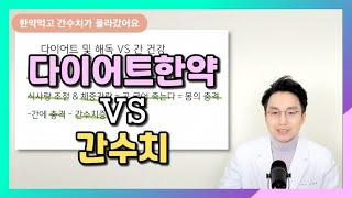 다이어트 한약 VS 간수치