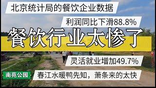 中国餐饮行业数据，北京餐饮利润下滑88.8%，餐饮行业太惨了，灵活就业增加49.7% #北京房价 #上海房价 #中国经济 #倒闭  #房产 #创业 #裁员 #经济危机 #失业 #北京 #经济下行