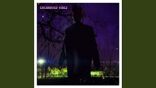 enchanted vibes