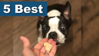 5 Best Dog Treats For Boston Terriers! (1,000 Surveyed)