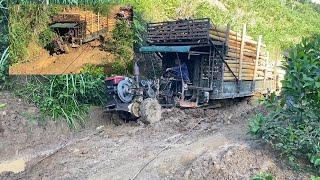 The truck carrying wood got stuck in the mud