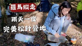 羅馬縱走，輕鬆2天1夜，享受中海拔松針營地、有水源！