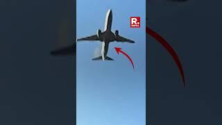 Video Captures Exact Moment South Korea Plane Suffers Bird Hit