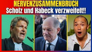 Nervenzusammenbruch: Scholz und Habeck verzweifelt!