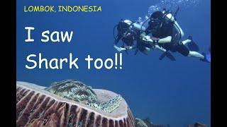 Gili Trawangan Lombok Diving Trip - Indonesia