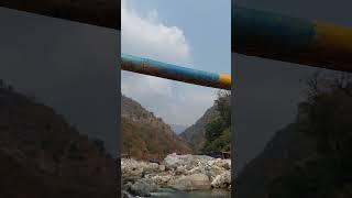 BEAUTYFUL NATURE OF DOOARS ️ @SONARSONGSARVLOGS #shorts #viral #dooars #nature #river