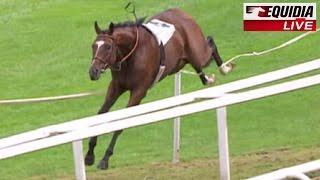 HORSE RACING FAILS ! | Zap Equidia