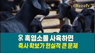 흑염소를 사육하면 06 - 축사 확보가 가장 큰 문제