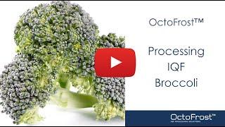 OctoFrost™ Processing IQF Broccoli