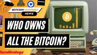 Who Owns Bitcoin Across the Network? - MicroStrategy buys 18,500, is it getting out of control?