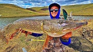 Fishing Northern Pike Heaven in Saskatchewan Canada