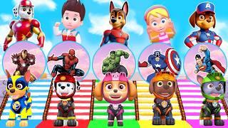 PAW Patrol CHALLENGE Choose The Correct Egg Become Spider-Man 5 Times Challenge With Chase