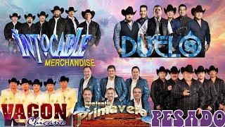 CONJUNTO PRIMAVERA, INTOCABLE Y PESADO DESDE LA CANTINA - PUROS CORRIDOS PESADOS MIX 2024