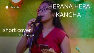 Herana Hera Kancha | Cover by Prenija Dhakal | supiye hirdaya timi Lai  #shortcover