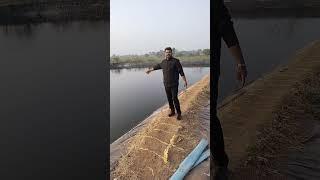 fish farming!7000 मछली से खचाखच भरा हुआ तालाब!