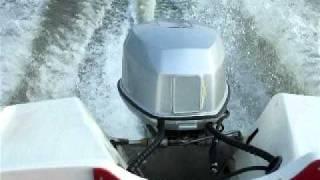 Rybitwa+Evinrude 115 hp