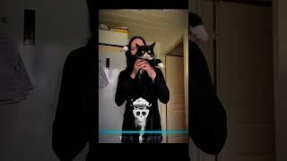 Cats Have Best Warp Scan 