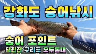 강화도 숭어 낚시 / 숭어 포인트 탐사 / 덕진진 구리포 오두돈대 / Mullet fishing