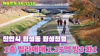 천안시 원성천옆 1층 빌라21평 1.35억 방3개 화1 전용주차장1대