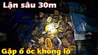 Diving 30m deep to encounter a giant snail nest on the Hoang Sa archipelago.